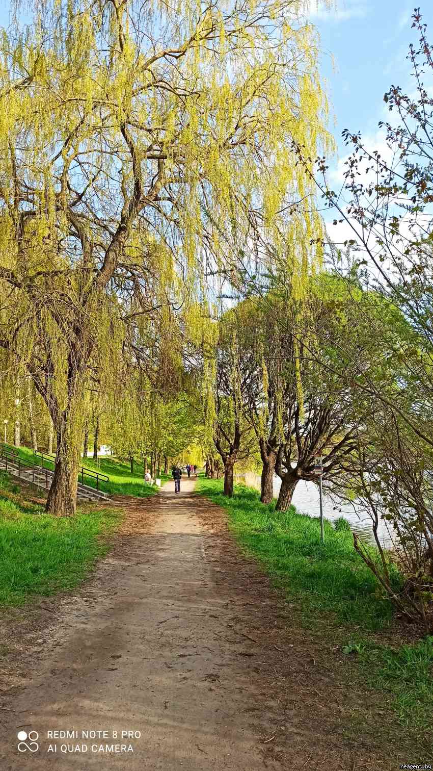 1-комнатная квартира, ул. Брестская, 70/4, 800 рублей: фото 18