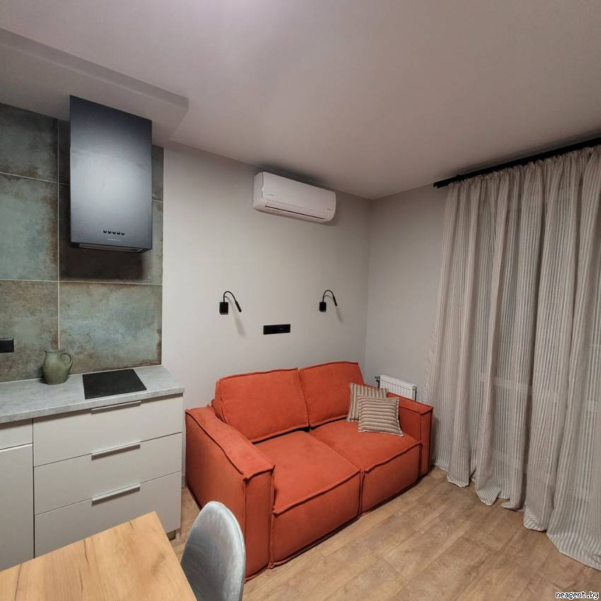 1-комнатная квартира, Дзержинского просп., 10, 480 рублей: фото 13