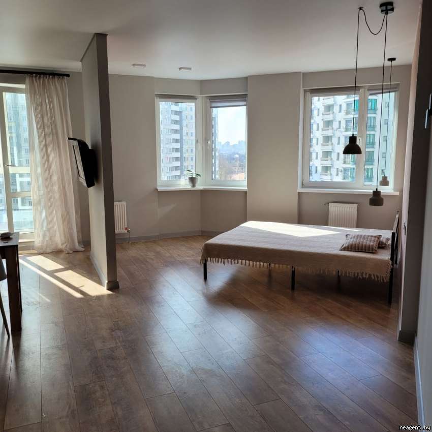 1-комнатная квартира, Дзержинского просп., 10, 480 рублей: фото 14