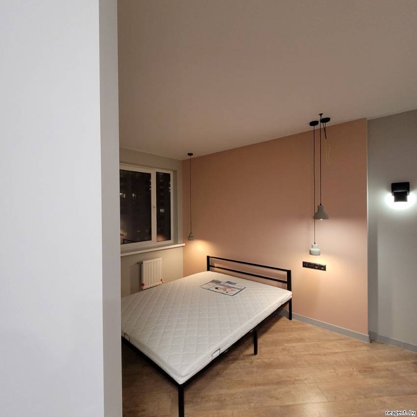 1-комнатная квартира, Дзержинского просп., 10, 480 рублей: фото 18