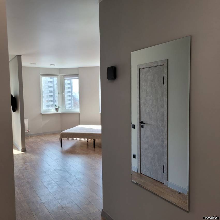 1-комнатная квартира, Дзержинского просп., 10, 480 рублей: фото 19