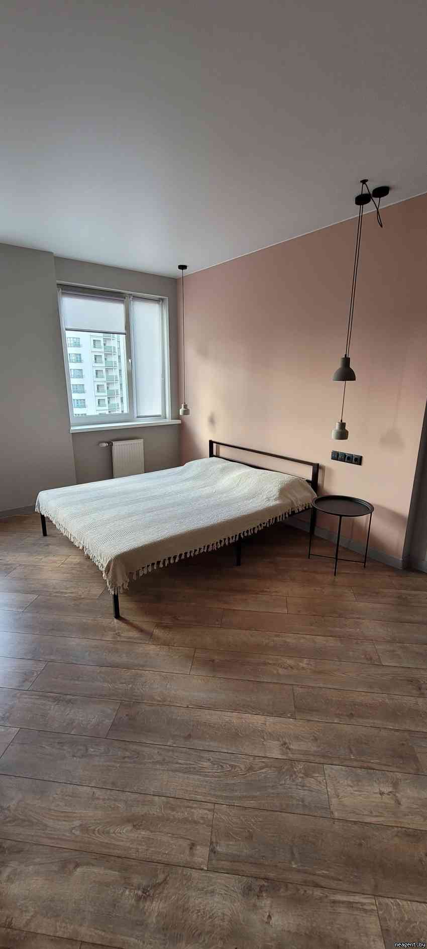 1-комнатная квартира, Дзержинского просп., 10, 480 рублей: фото 21