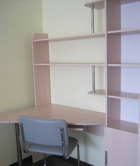 1-комнатная квартира, Н.Н. Александрова, 19, 250 рублей: фото 3