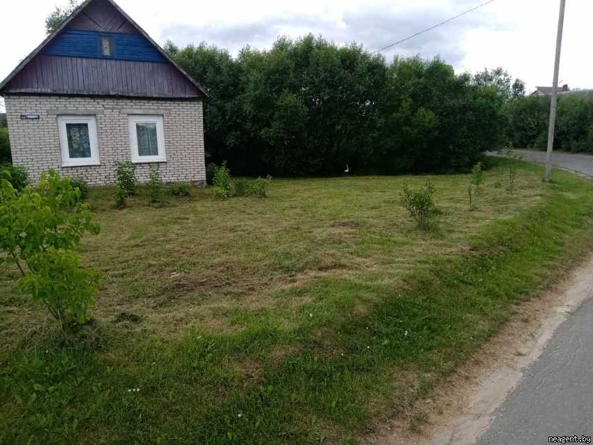 Дом, Гуриновича, 47, 16000 рублей: фото 3