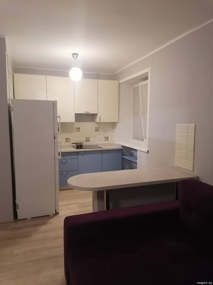 1-комнатная квартира, Партизанский просп., 4а, 919 рублей: фото 2