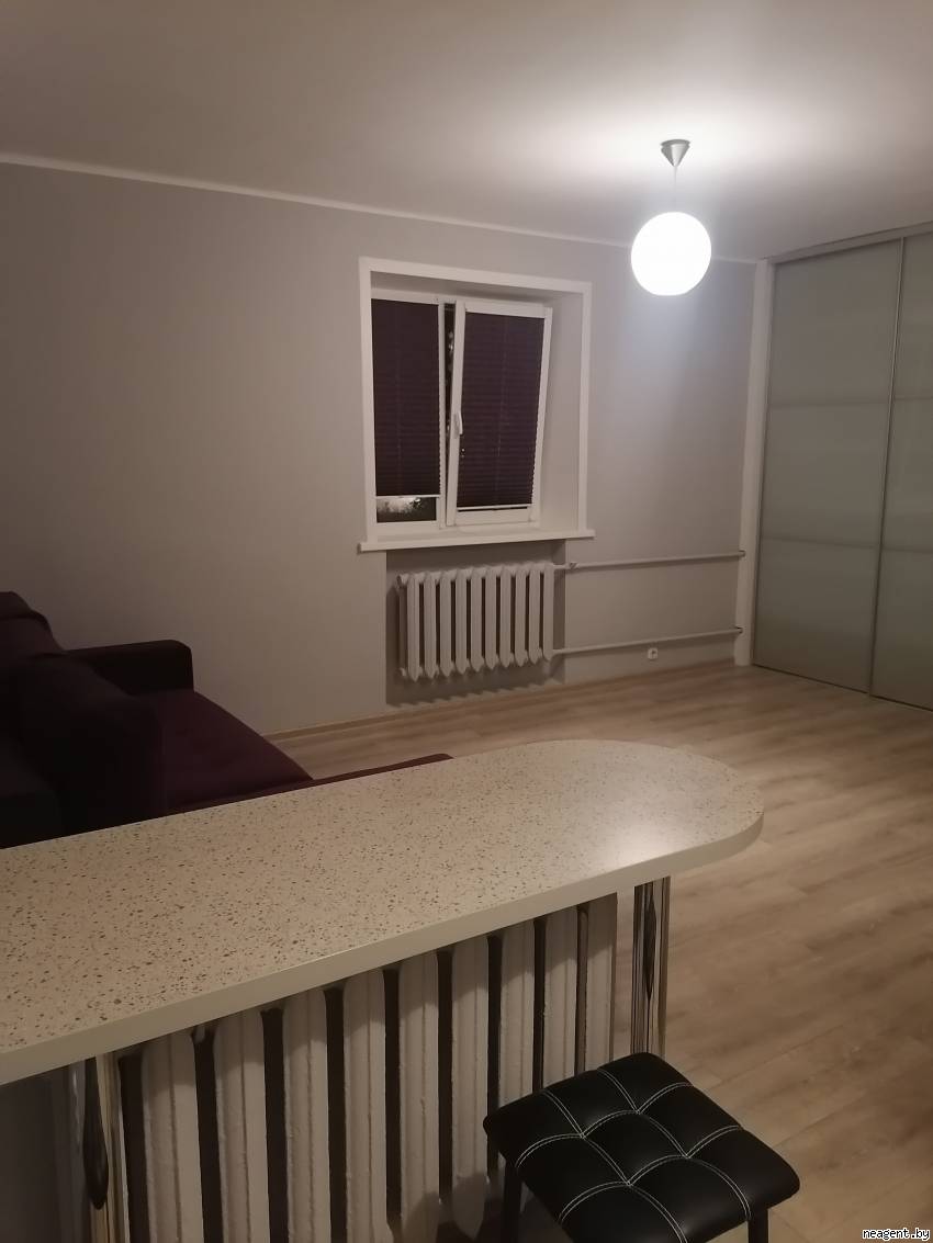 1-комнатная квартира, Партизанский просп., 4а, 919 рублей: фото 3