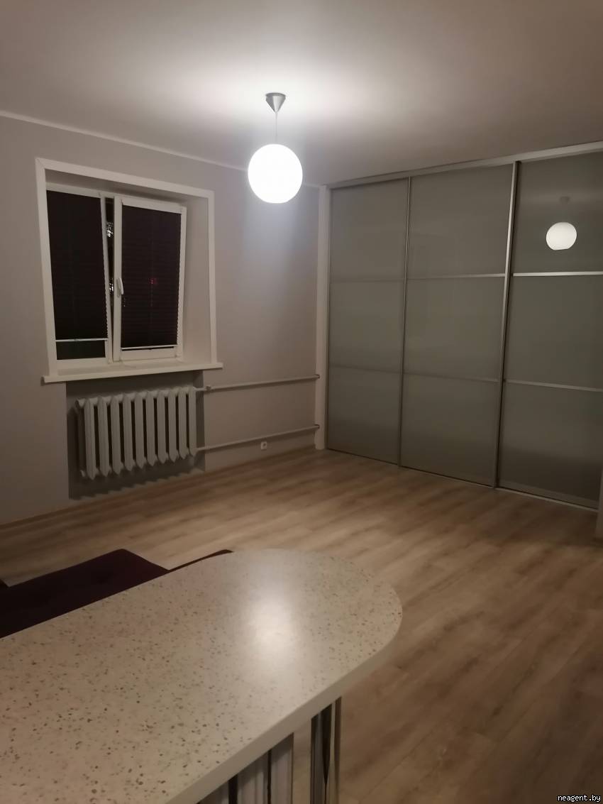1-комнатная квартира, Партизанский просп., 4а, 919 рублей: фото 4