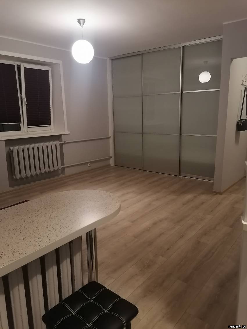 1-комнатная квартира, Партизанский просп., 4а, 919 рублей: фото 5