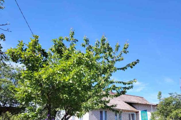 Квартира, Ковалевичи, Центральная , за 67000 р.