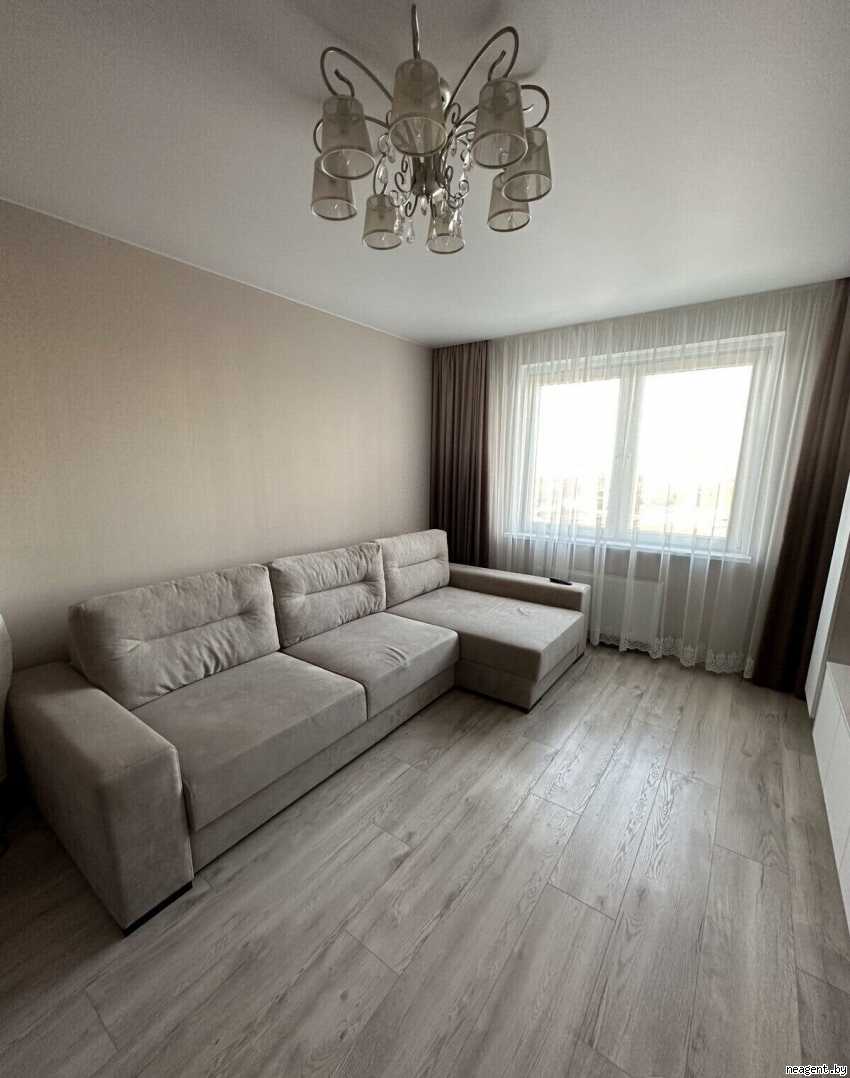 1-комнатная квартира, Пушкина просп., 38, 900 рублей: фото 1