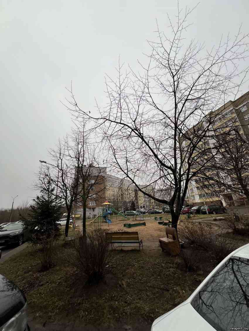 1-комнатная квартира, ул. Ивана Шамякина, 11, 285 рублей: фото 17