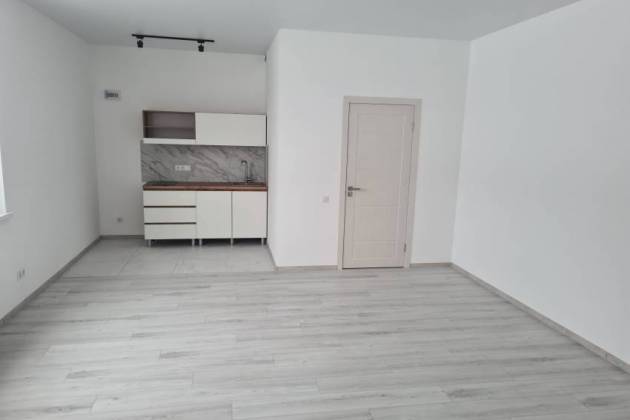 1-комнатная квартира, Партизанский просп., за 942 р.