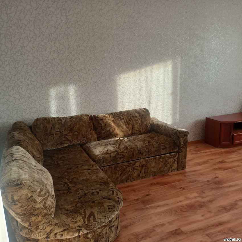 1-комнатная квартира, Игуменский тракт, 20, 280 рублей: фото 3
