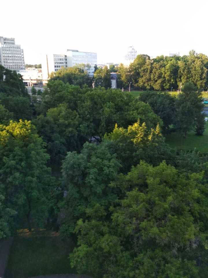 1-комнатная квартира, Ул. Червякова, 2, 1150 рублей: фото 1