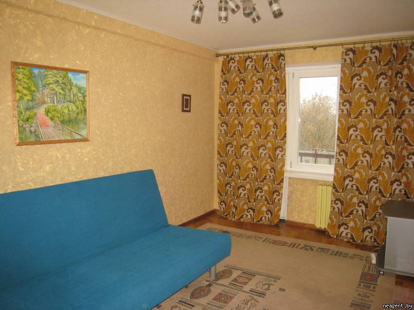 1-комнатная квартира, Пушкина просп., 44, 942 рублей: фото 2