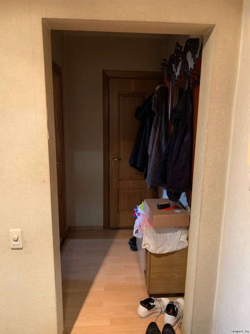 1-комнатная квартира, Пушкина просп., 33, 212035 рублей: фото 4