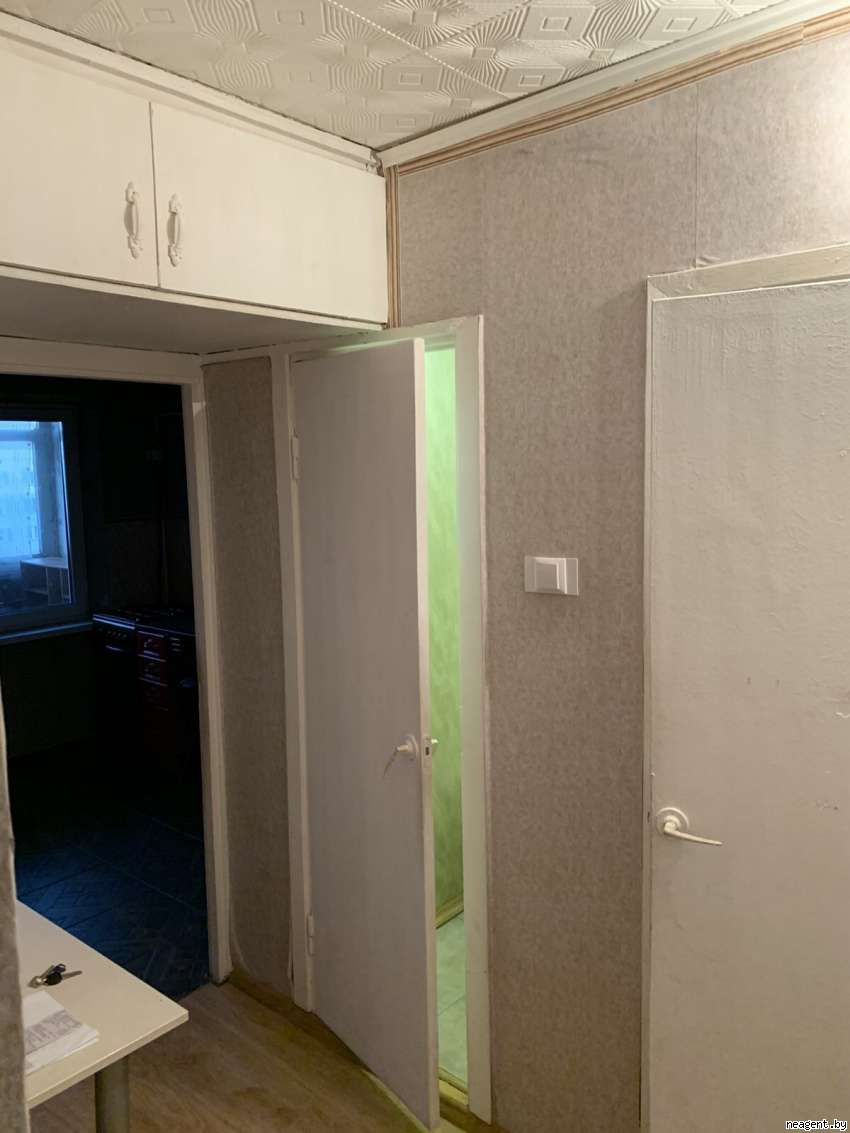 1-комнатная квартира, Пушкина просп., 33, 210231 рублей: фото 11