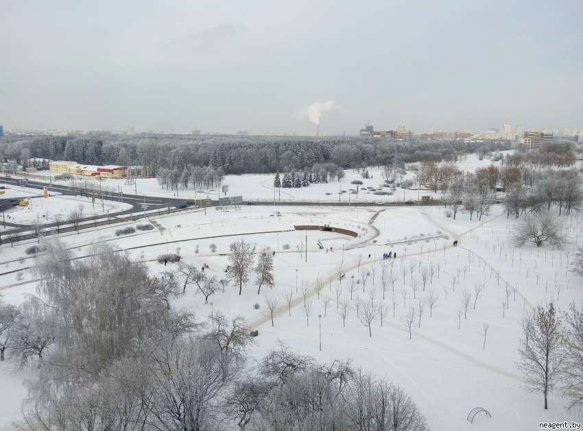 3-комнатная квартира, ул. Менделеева, 30, 1655 рублей: фото 36