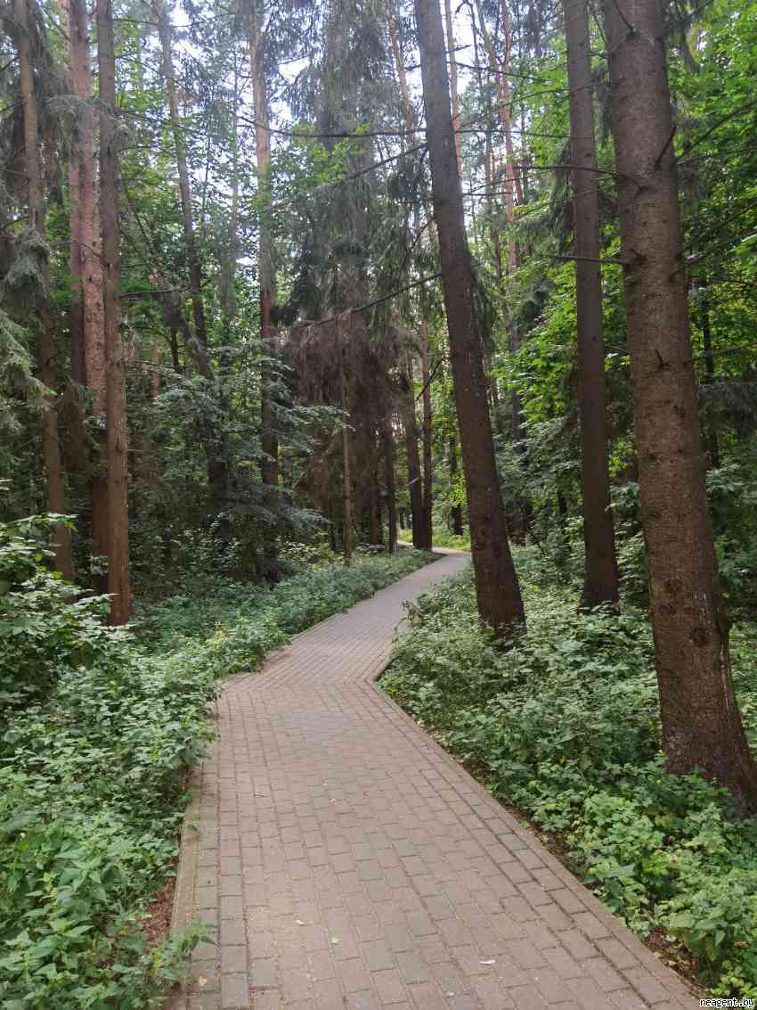 1-комнатная квартира, ул. Спортивная, 2, 950 рублей: фото 10