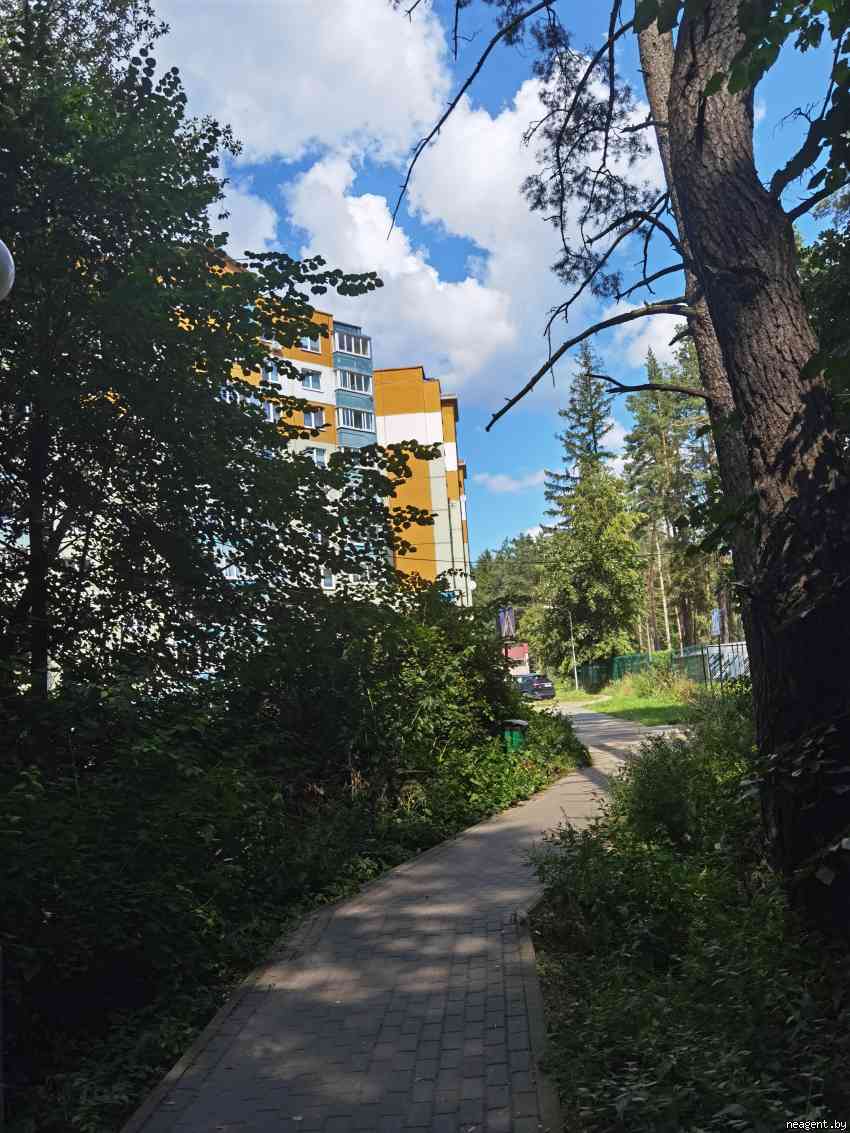 1-комнатная квартира, ул. Спортивная, 2, 950 рублей: фото 11