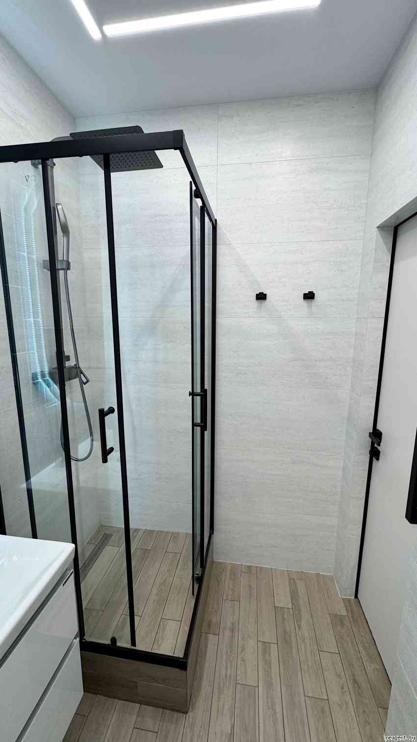 1-комнатная квартира, Пушкинский проспект, 29, 1038 рублей: фото 2