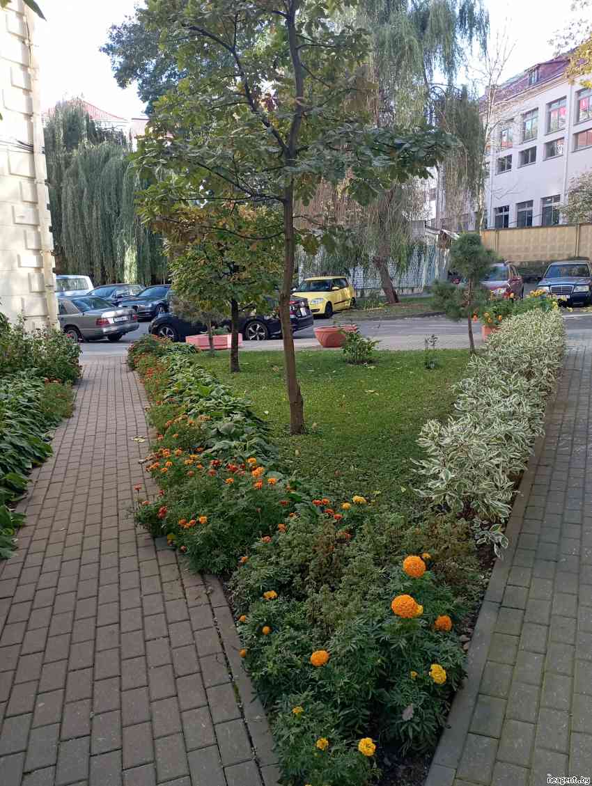 3-комнатная квартира, Красная, 20, 3295 рублей: фото 30
