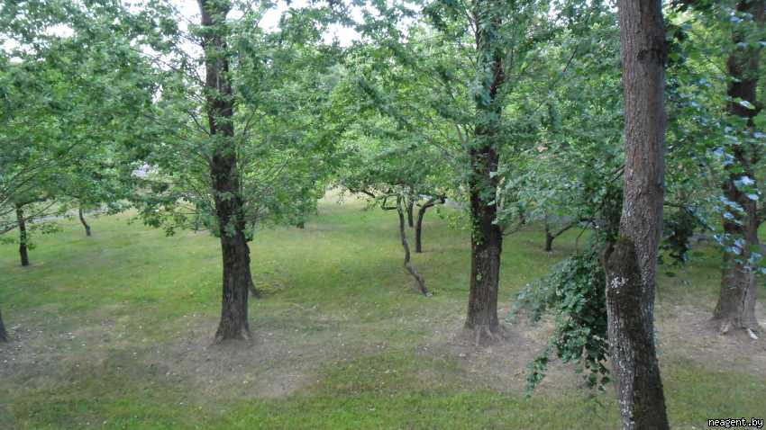 1-комнатная квартира, ул. Героев 120 Дивизии, 20, 958 рублей: фото 4
