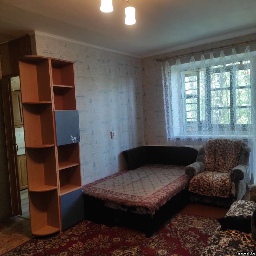 1-комнатная квартира, ул. Белинского, 4, 1050 рублей: фото 3