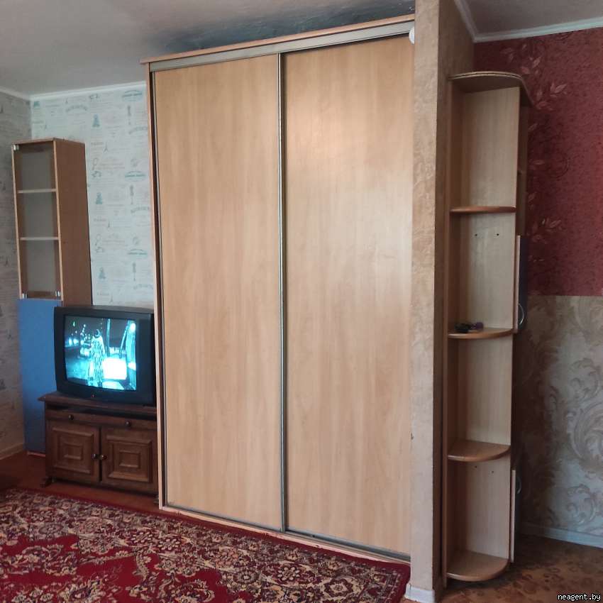 1-комнатная квартира, ул. Белинского, 4, 1050 рублей: фото 8