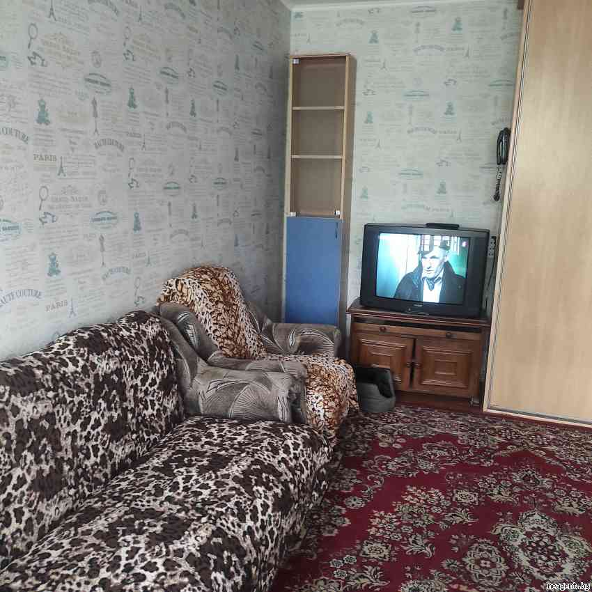 1-комнатная квартира, ул. Белинского, 4, 1050 рублей: фото 13