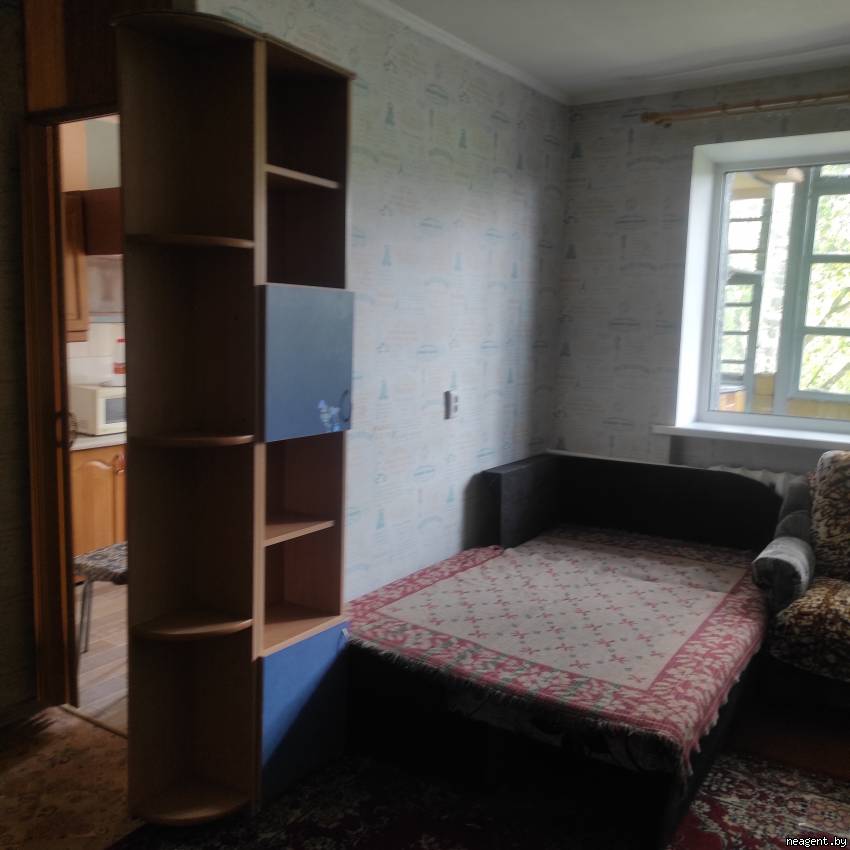 1-комнатная квартира, ул. Белинского, 4, 1050 рублей: фото 14