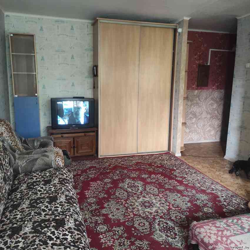 1-комнатная квартира, ул. Белинского, 4, 1050 рублей: фото 16