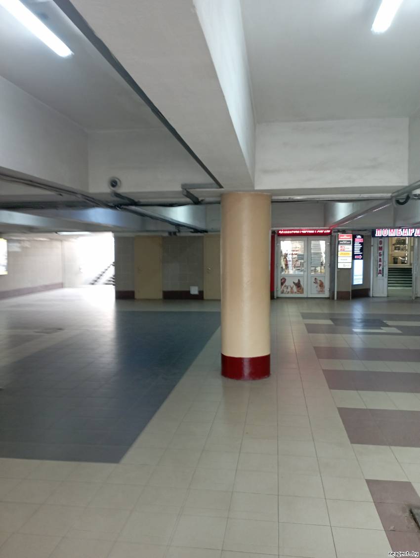Помещение, Партизанский просп., 81/Д, 38800 рублей: фото 12