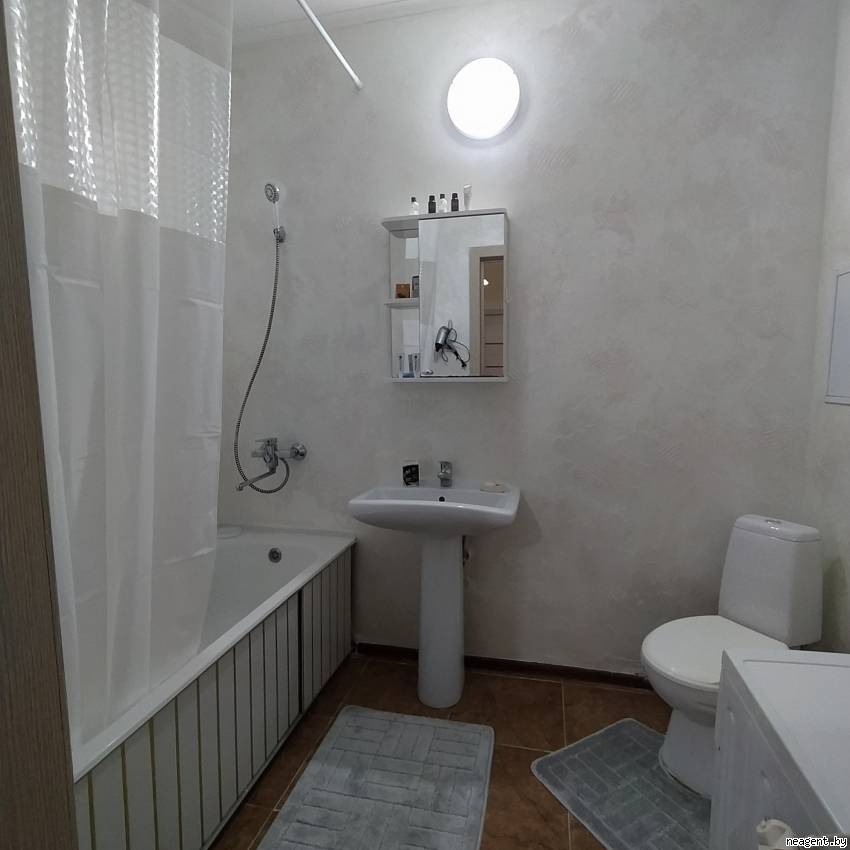 1-комнатная квартира, Игуменский тракт, 14, 1220 рублей: фото 8