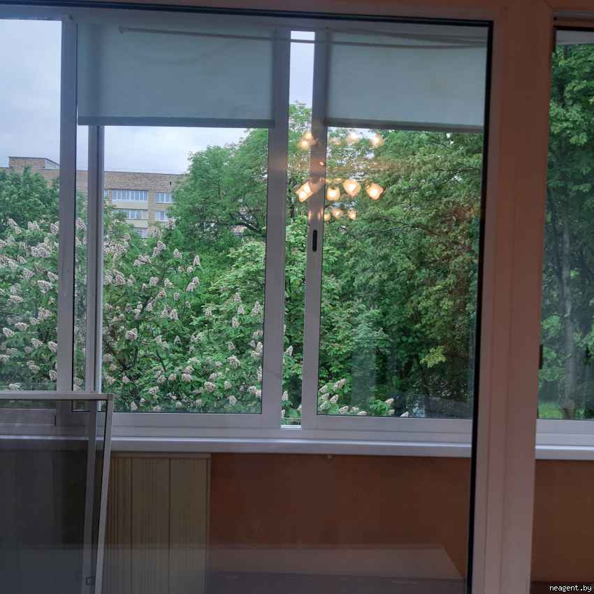2-комнатная квартира, Партизанский просп., 69/А, 1042 рублей: фото 1