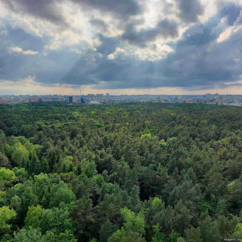 1-комнатная квартира, ул. Макаенка, 12К, 296577 рублей: фото 8