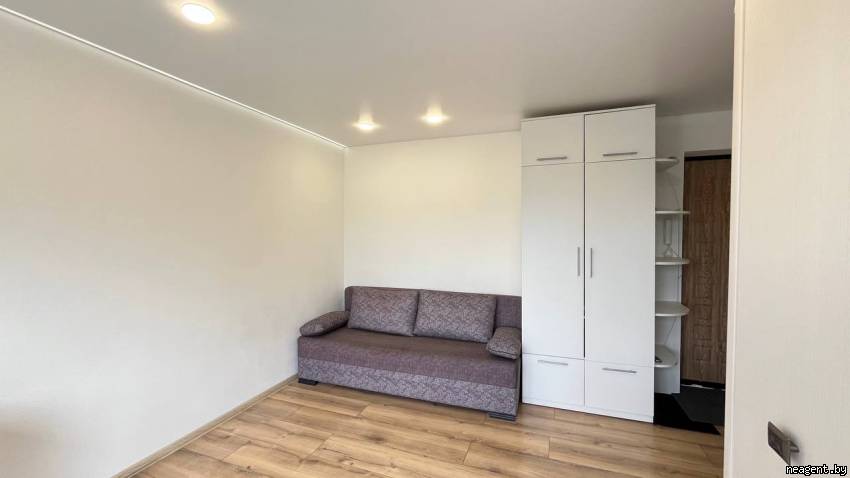 1-комнатная квартира, Партизанский просп., 29/А, 1038 рублей: фото 1