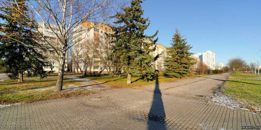 2-комнатная квартира, Рокоссовского просп., 153, 1291 рублей: фото 11