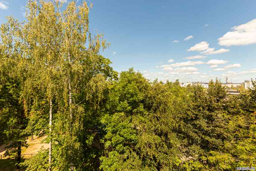 3-комнатная квартира, ул. Сердича, 48, 1614 рублей: фото 7