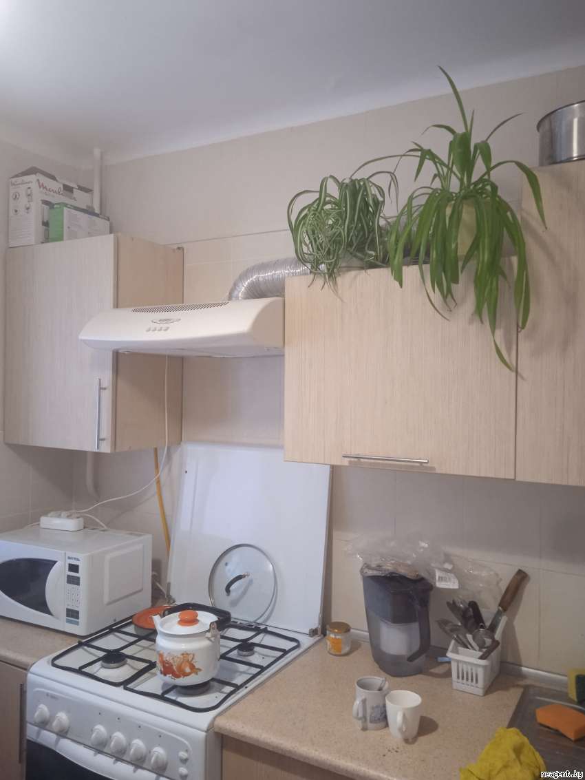 1-комнатная квартира, Чкалова, 21, 1012 рублей: фото 8