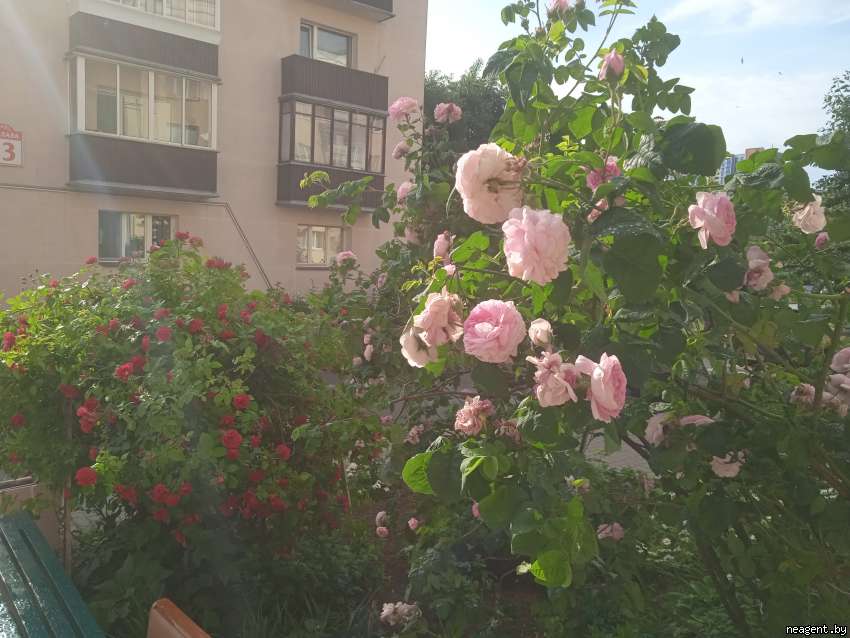 1-комнатная квартира, Чкалова, 21, 1012 рублей: фото 10