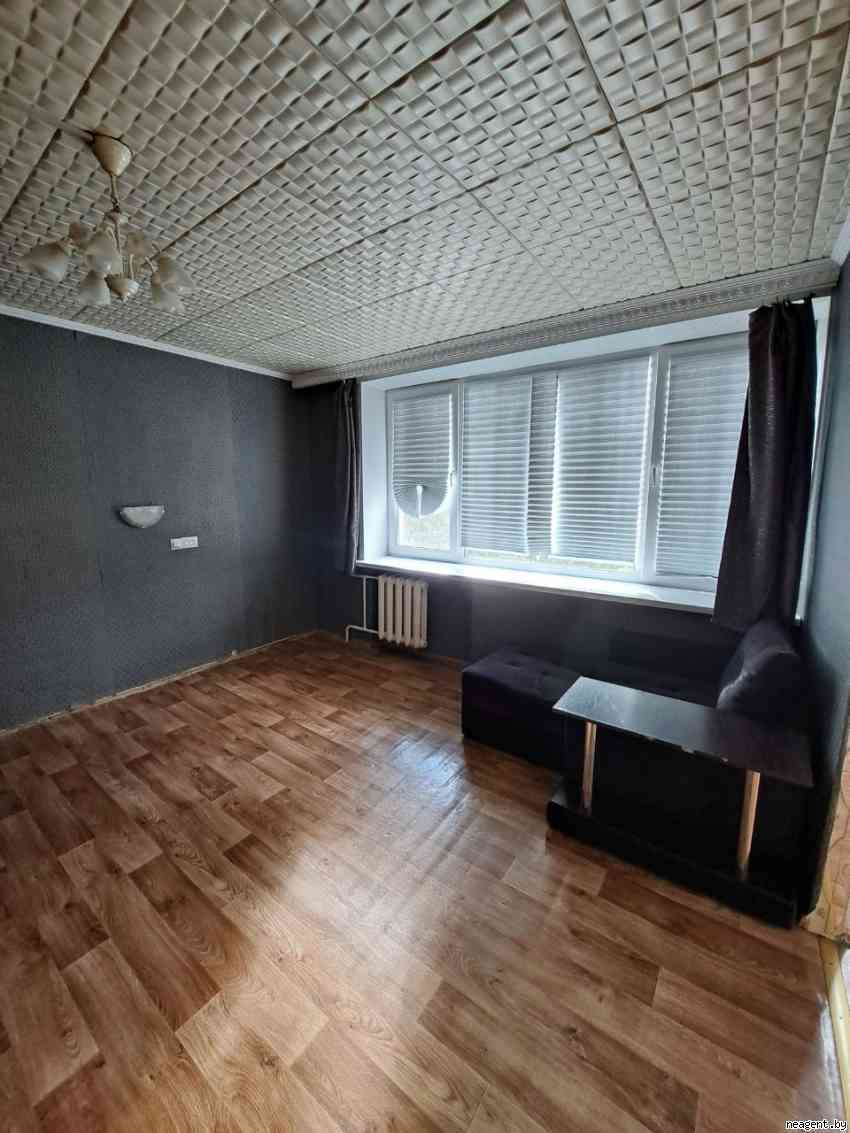1-комнатная квартира, Проспект Партизанский, 67, 930 рублей: фото 2