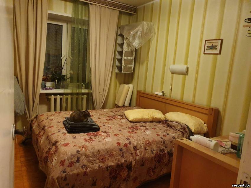 3-комнатная квартира, ул. Толстого, 4, 1300 рублей: фото 2