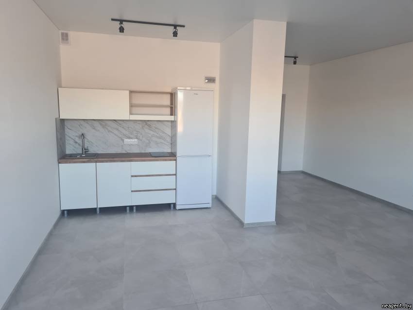 1-комнатная квартира, Партизанский просп., 170, 1040 рублей: фото 2