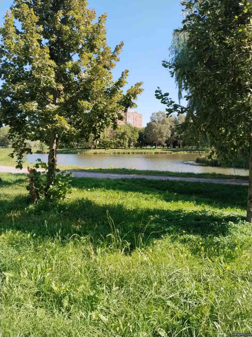 2-комнатная квартира, Плеханова, 71, 1200 рублей: фото 13