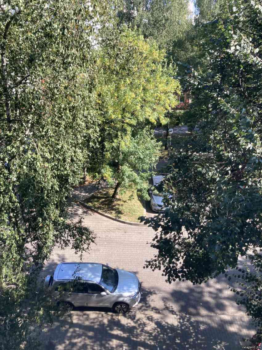 2-комнатная квартира, имени газеты «Правда» просп., 22, 1529 рублей: фото 19