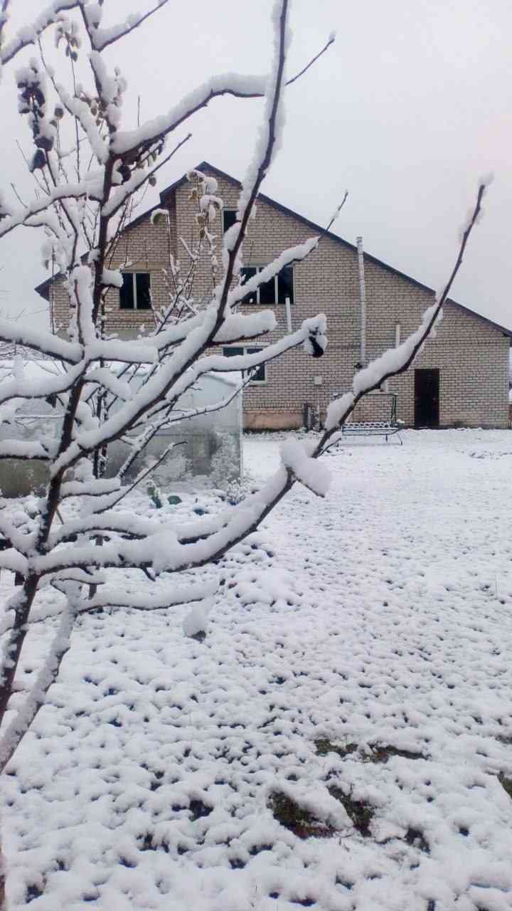 Дом, , 29 рублей: фото 2