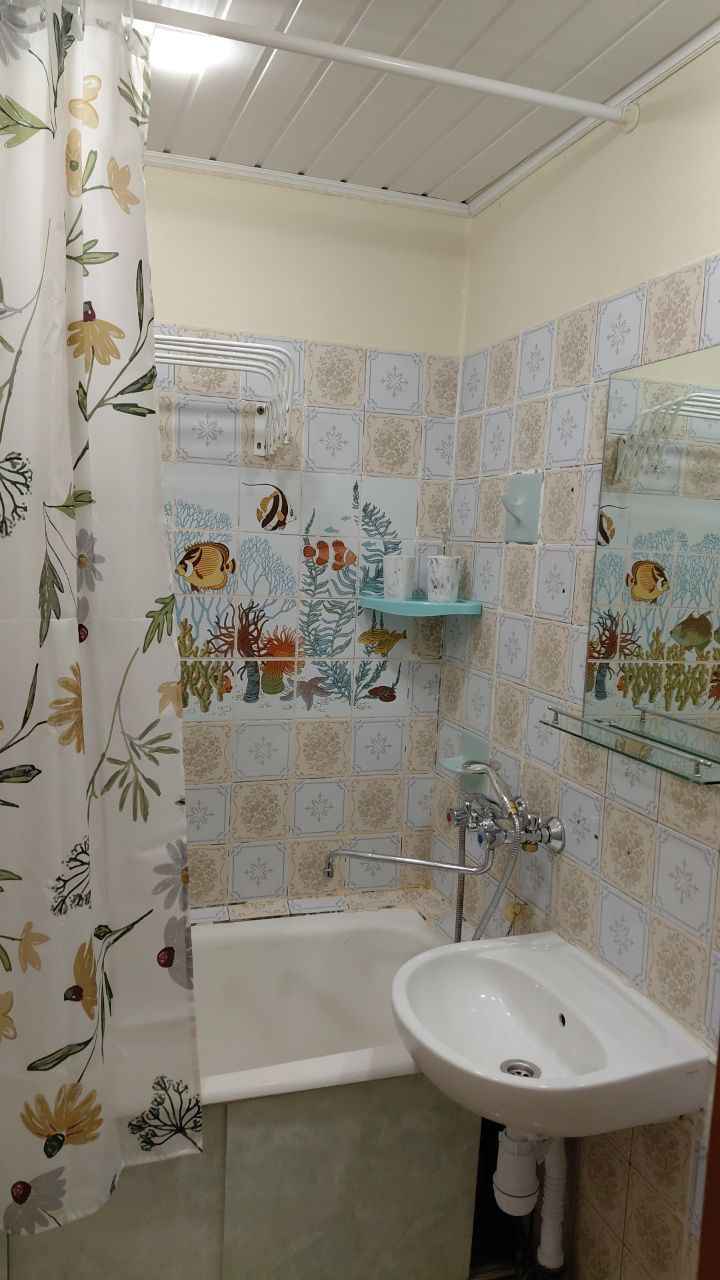 1-комнатная квартира, ул. Голубева, 28, 800 рублей: фото 6
