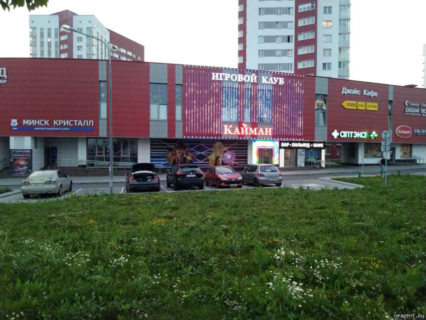 1-комнатная квартира, Гурского, 45, 1313 рублей: фото 10