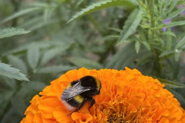 Поиск комнаты за 600 р.